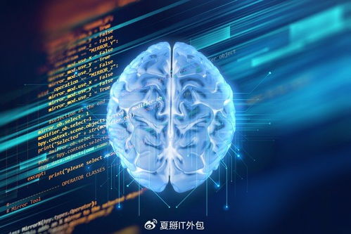 軟件開發(fā)公司的AI魔法 解鎖無(wú)限可能的軟件外包服務(wù)新紀(jì)元